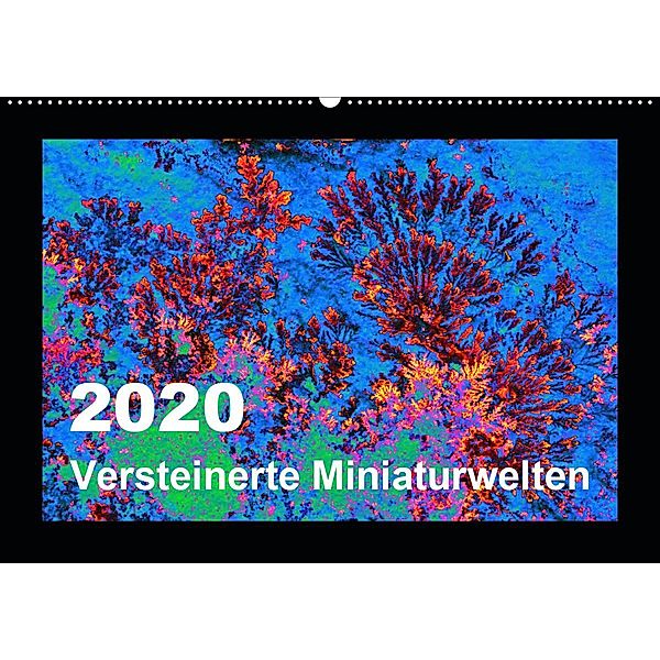 Versteinerte Miniaturwelten - Farbenspiele auf Solnhofener Plattenkalk (Wandkalender 2020 DIN A2 quer), Dietmar Leitner