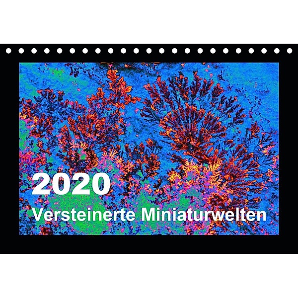 Versteinerte Miniaturwelten - Farbenspiele auf Solnhofener Plattenkalk (Tischkalender 2020 DIN A5 quer), Dietmar Leitner