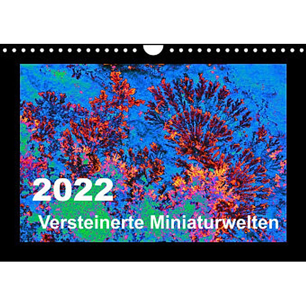 Versteinerte Miniaturwelten - Farbenspiele auf Solnhofener Plattenkalk (Wandkalender 2022 DIN A4 quer), Dietmar Leitner