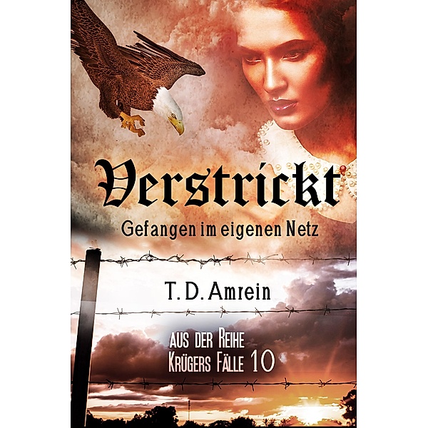 Verstrickt / Krügers Fälle Bd.10, T. D. Amrein