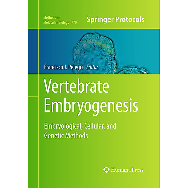 Vertebrate Embryogenesis