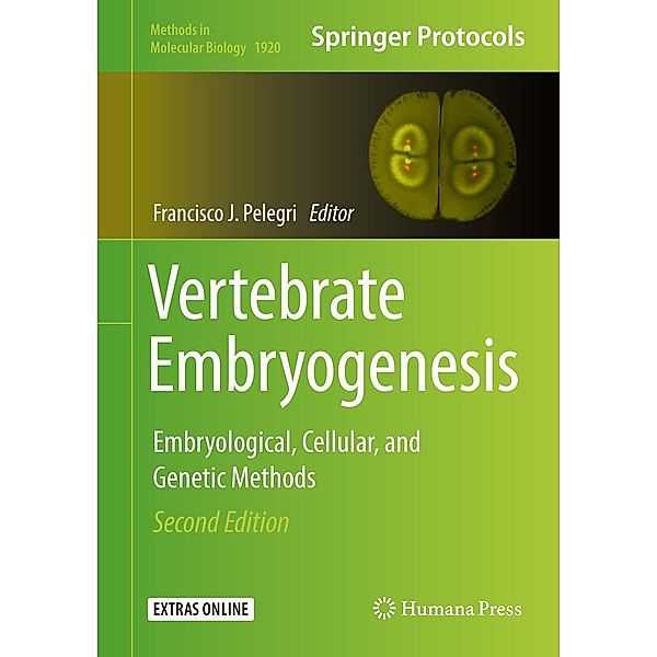 Vertebrate Embryogenesis / Methods in Molecular Biology Bd.1920