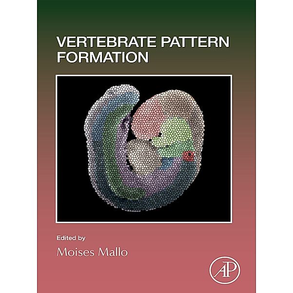 Vertebrate Pattern Formation