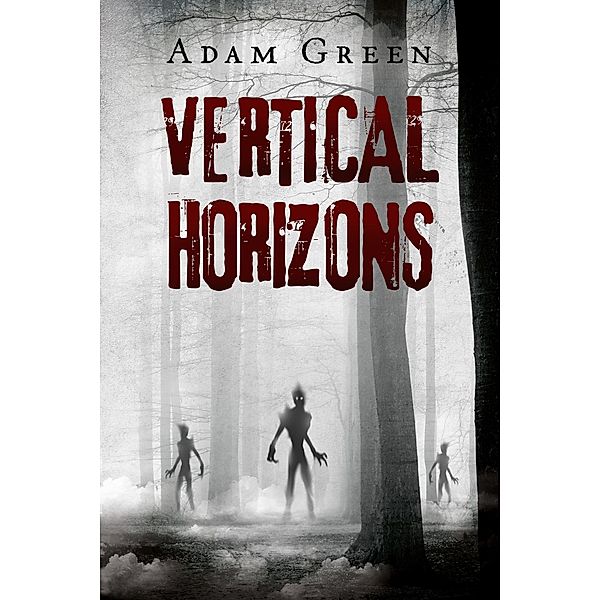 Vertical Horizons, Adam Green