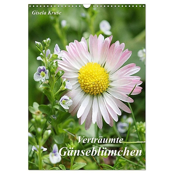 Verträumte Gänseblümchen (Wandkalender 2024 DIN A3 hoch), CALVENDO Monatskalender, Gisela Kruse