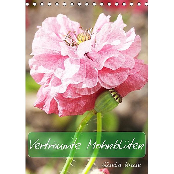 Verträumte Mohnblüten (Tischkalender 2020 DIN A5 hoch), Gisela Kruse