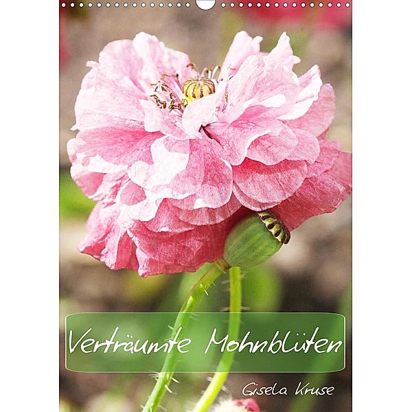 Verträumte Mohnblüten (Wandkalender 2023 DIN A3 hoch), Gisela Kruse