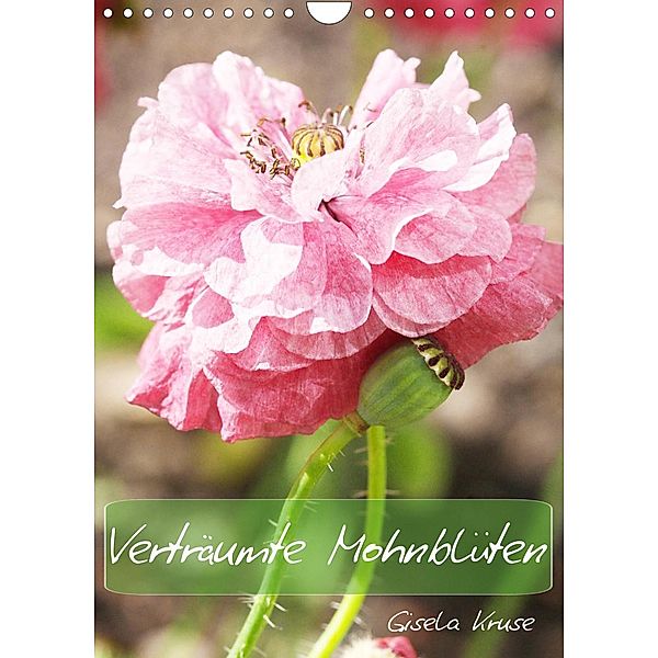 Verträumte Mohnblüten (Wandkalender 2023 DIN A4 hoch), Gisela Kruse