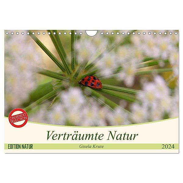 Verträumte Natur (Wandkalender 2024 DIN A4 quer), CALVENDO Monatskalender, Gisela Kruse