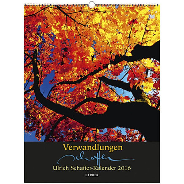 Verwandlungen 2016, Ulrich Schaffer