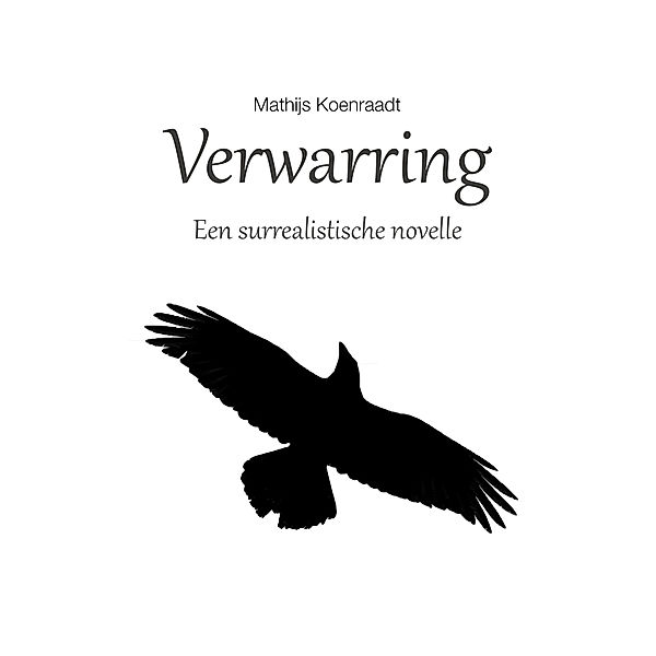 Verwarring: Een surrealistische novelle, Mathijs Koenraadt