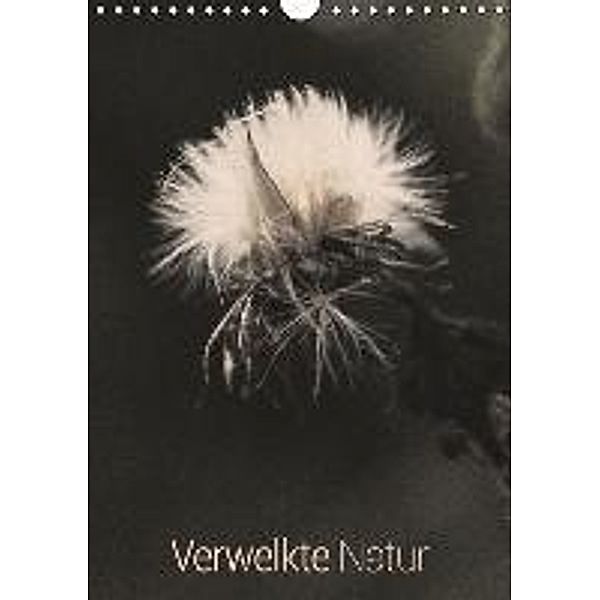 Verwelkte Natur (Wandkalender 2015 DIN A4 hoch), planfisch GbR
