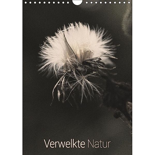 Verwelkte Natur (Wandkalender 2017 DIN A4 hoch), planfisch GbR