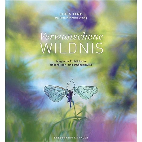 Verwunschene Wildnis, Klaus Tamm, Mario Ludwig