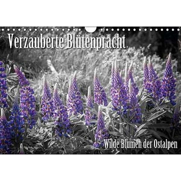 Verzauberte Blütenpracht - Wilde Blumen der Ostalpen (Wandkalender 2015 DIN A4 quer), Günter Zöhrer