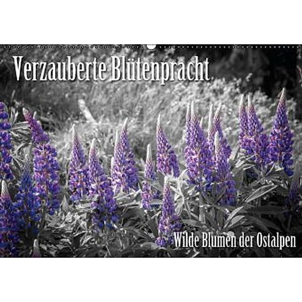 Verzauberte Blütenpracht - Wilde Blumen der Ostalpen (Wandkalender 2015 DIN A2 quer), Günter Zöhrer