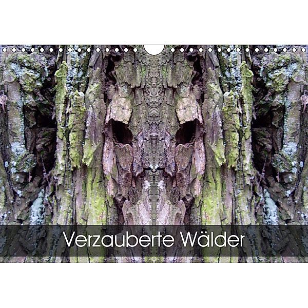 Verzauberte WälderAT-Version (Wandkalender 2019 DIN A4 quer), Elken Schlüfter