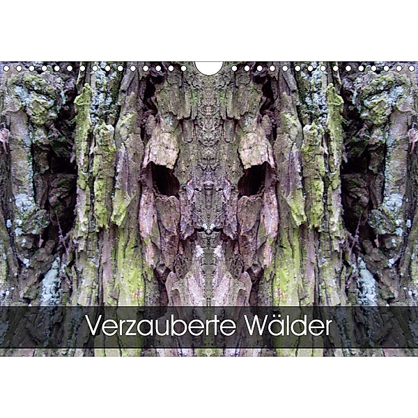 Verzauberte WälderAT-Version (Wandkalender 2020 DIN A4 quer), Elken Schlüfter