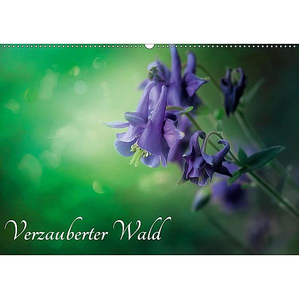 Verzauberter Wald (Wandkalender 2021 DIN A2 quer), Simone Wunderlich