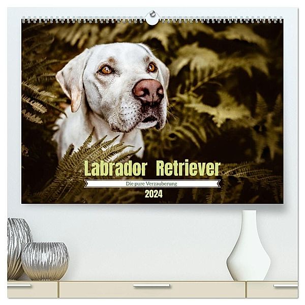 Verzauberung Labrador Retriever 2024 (hochwertiger Premium Wandkalender 2024 DIN A2 quer), Kunstdruck in Hochglanz, Sensiebelfotografie Saskia Katharina Siebel