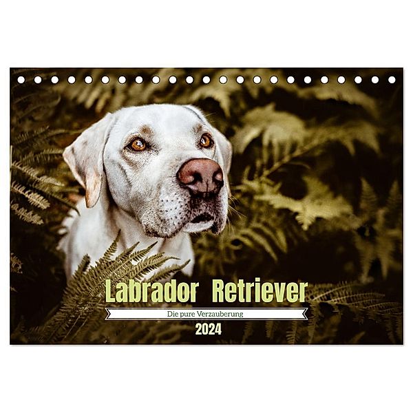 Verzauberung Labrador Retriever 2024 (Tischkalender 2024 DIN A5 quer), CALVENDO Monatskalender, Sensiebelfotografie Saskia Katharina Siebel