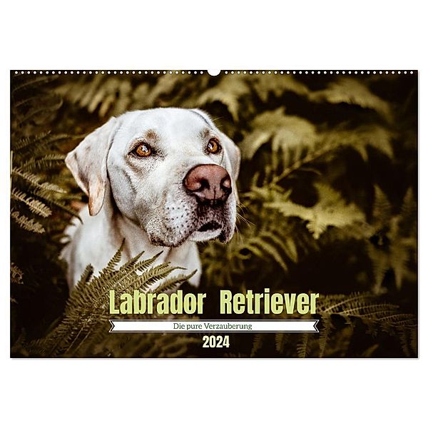 Verzauberung Labrador Retriever 2024 (Wandkalender 2024 DIN A2 quer), CALVENDO Monatskalender, Sensiebelfotografie Saskia Katharina Siebel