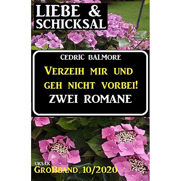 Verzeih mir und geh nicht vorbei! Liebe & Schicksal Großband 10/2020, Cedric Balmore