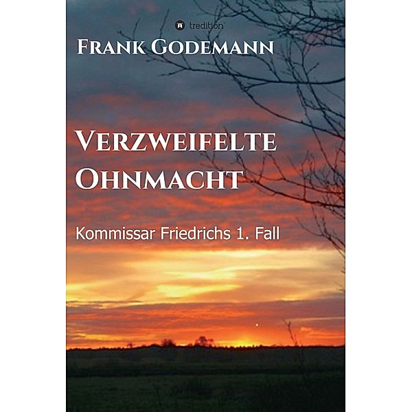 Verzweifelte Ohnmacht / Kommissar Friedrich Bd.1, Frank Godemann