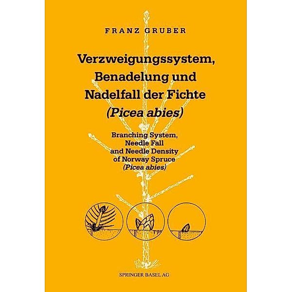 Verzweigungssystem, Benadelung und Nadelfall der Fichte (Picea abies) / Contributiones Biologiae Arborum Bd.3, Gruber