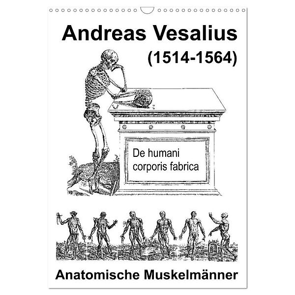 Vesalius anatomische Muskelmänner (Wandkalender 2025 DIN A3 hoch), CALVENDO Monatskalender, Calvendo, Claus Liepke
