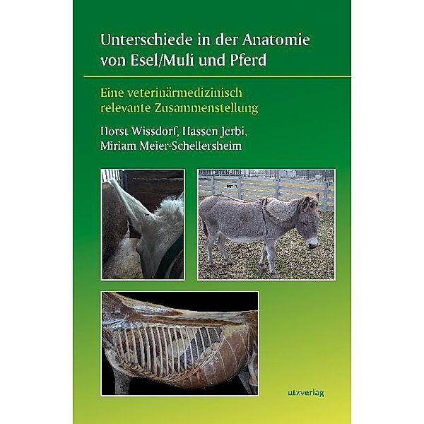 Veterinärmedizin / Unterschiede in der Anatomie von Esel/Muli und Pferd, Horst Wissdorf, Hassen Jerbi, Miriam Meier-Schellersheim