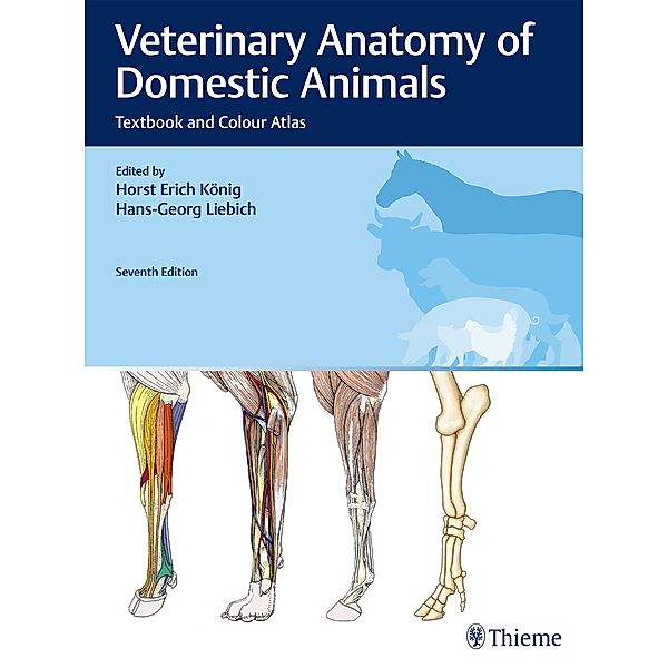 Veterinary Anatomy of Domestic Animals