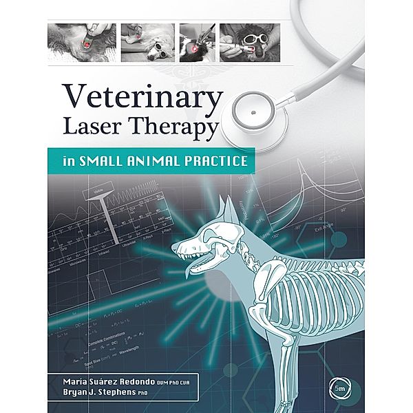Veterinary Laser Therapy in Small Animal Practice, Bryan J. Stephens