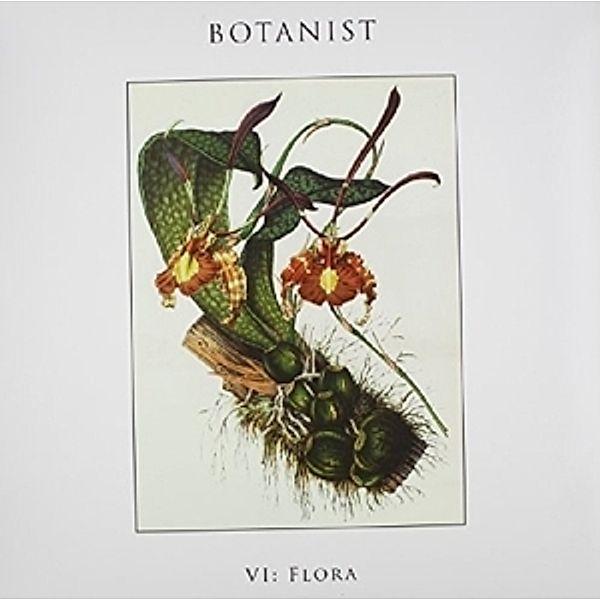 Vi: Flora (Vinyl), Botanist