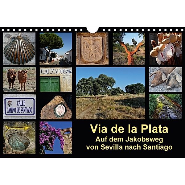 Via de la Plata - auf dem Jakobsweg von Sevilla nach Santiago (Wandkalender 2018 DIN A4 quer), Rina B.