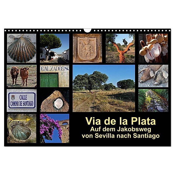 Via de la Plata - auf dem Jakobsweg von Sevilla nach Santiago (Wandkalender 2024 DIN A3 quer), CALVENDO Monatskalender, Rina B.