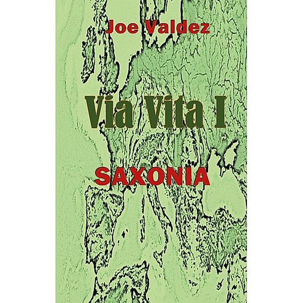Via Vita I / Via Vita Bd.1, Joe Valdez