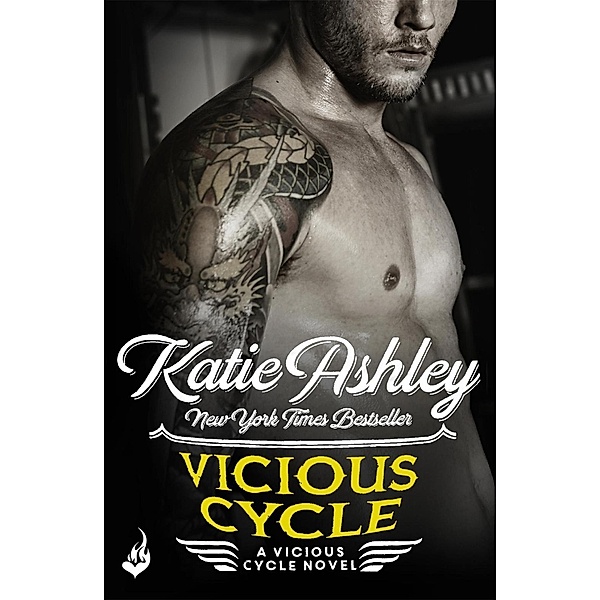 Vicious Cycle: Vicious Cycle 1 / Vicious Cycle Bd.1, Katie Ashley