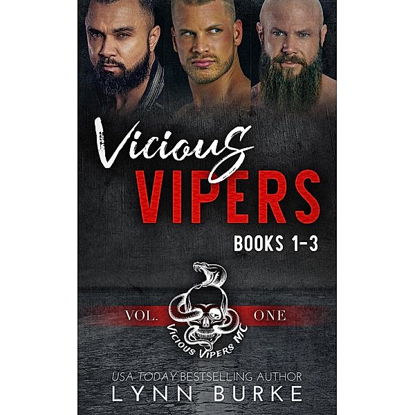 Vicious Vipers: MC Romance Boxed Set Vol 1 (Vicious Vipers MC Romance Series) / Vicious Vipers MC Romance Series, Lynn Burke