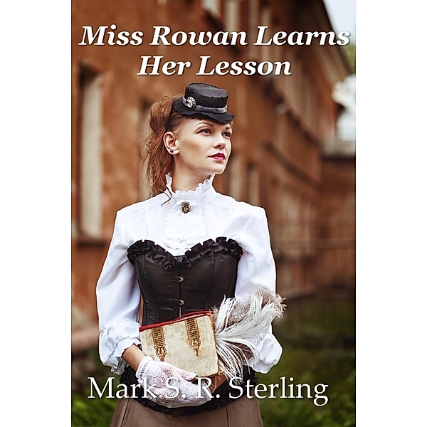 Victorian Lady Detective: Miss Rowan Learns Her Lesson (Victorian Lady Detective, #1), Mark S. R. Sterling