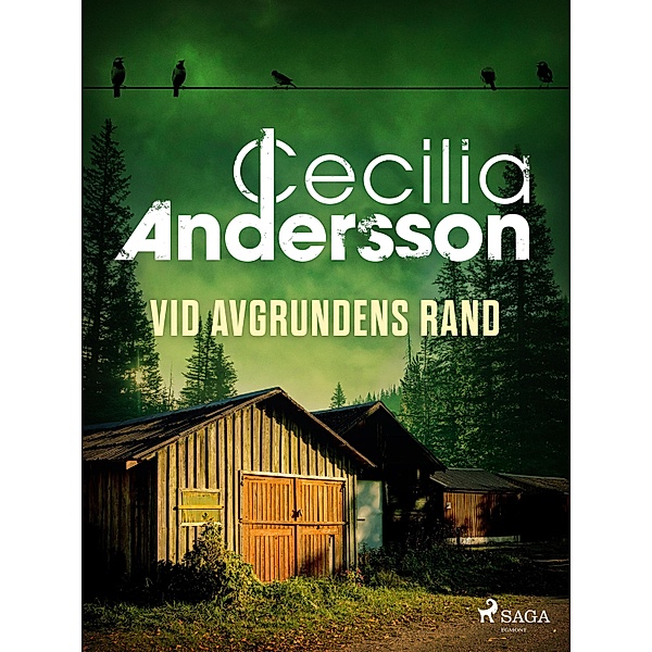 Vid avgrundens rand / Västervikserien Bd.3, Cecilia Andersson