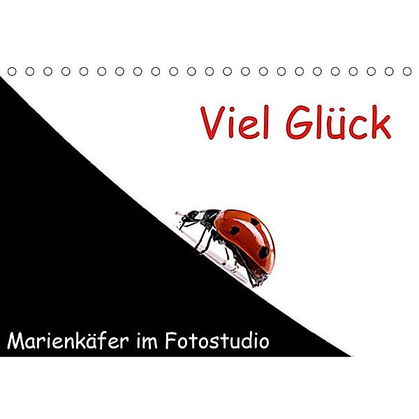 Viel Glück - Marienkäfer im Fotostudio (Tischkalender 2020 DIN A5 quer), Klaus Eppele