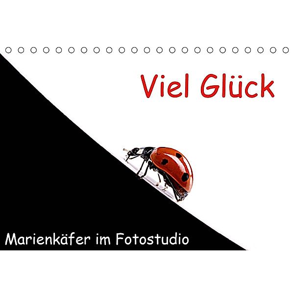 Viel Glück - Marienkäfer im Fotostudio (Tischkalender 2021 DIN A5 quer), Klaus Eppele