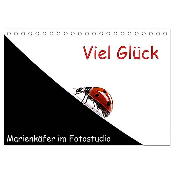 Viel Glück - Marienkäfer im Fotostudio (Tischkalender 2024 DIN A5 quer), CALVENDO Monatskalender, Klaus Eppele