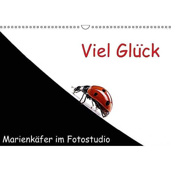 Viel Glück - Marienkäfer im Fotostudio (Wandkalender 2014 DIN A3 quer), Klaus Eppele