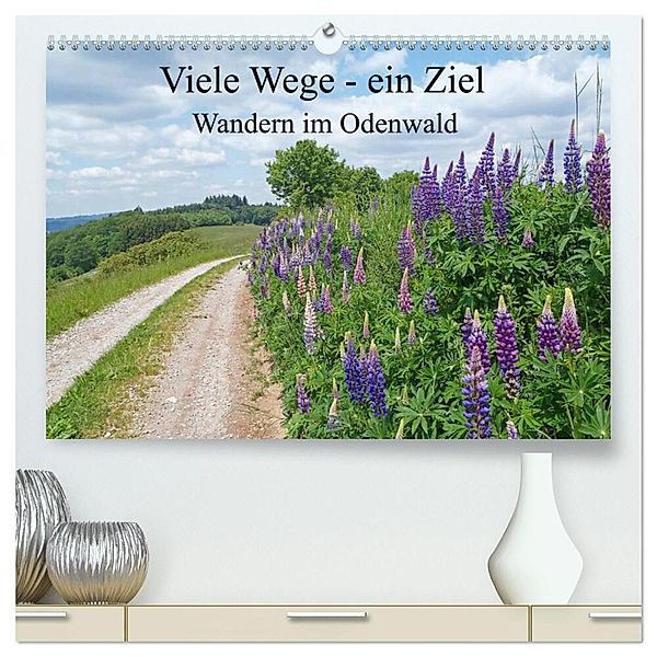 Viele Wege - ein Ziel Wandern im Odenwald (hochwertiger Premium Wandkalender 2024 DIN A2 quer), Kunstdruck in Hochglanz, Ilona Andersen