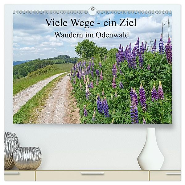 Viele Wege - ein Ziel Wandern im Odenwald (hochwertiger Premium Wandkalender 2025 DIN A2 quer), Kunstdruck in Hochglanz, Calvendo, Ilona Andersen