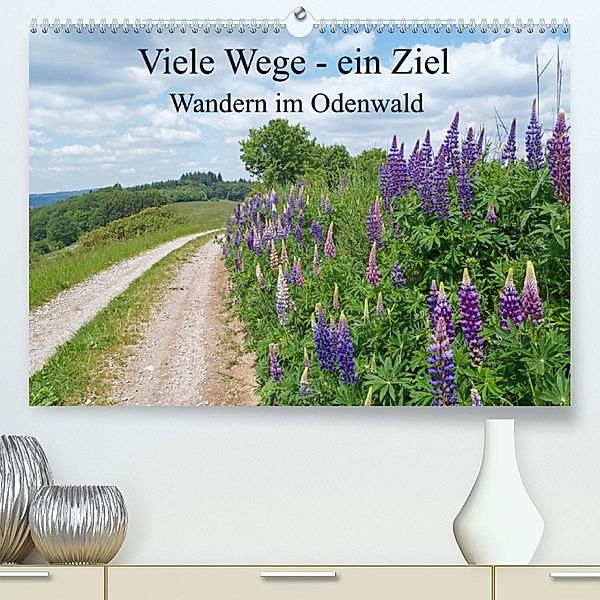 Viele Wege - ein Ziel    Wandern im Odenwald (Premium, hochwertiger DIN A2 Wandkalender 2023, Kunstdruck in Hochglanz), Ilona Andersen