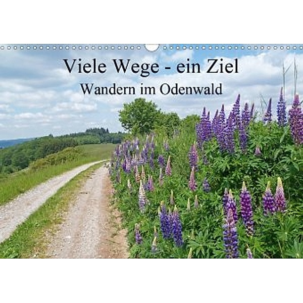 Viele Wege - ein Ziel Wandern im Odenwald (Wandkalender 2020 DIN A3 quer), Ilona Andersen