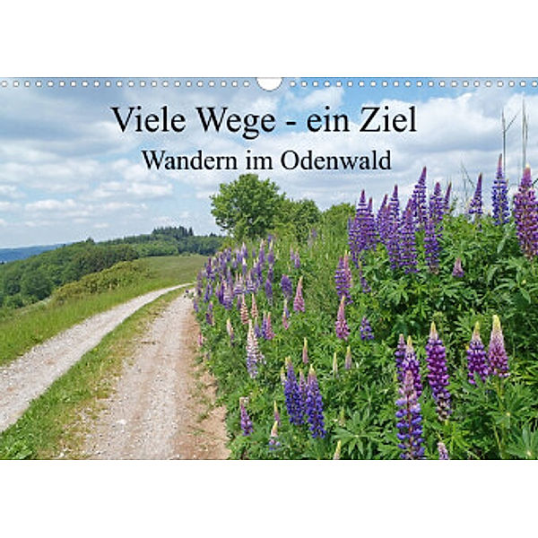 Viele Wege - ein Ziel    Wandern im Odenwald (Wandkalender 2022 DIN A3 quer), Ilona Andersen